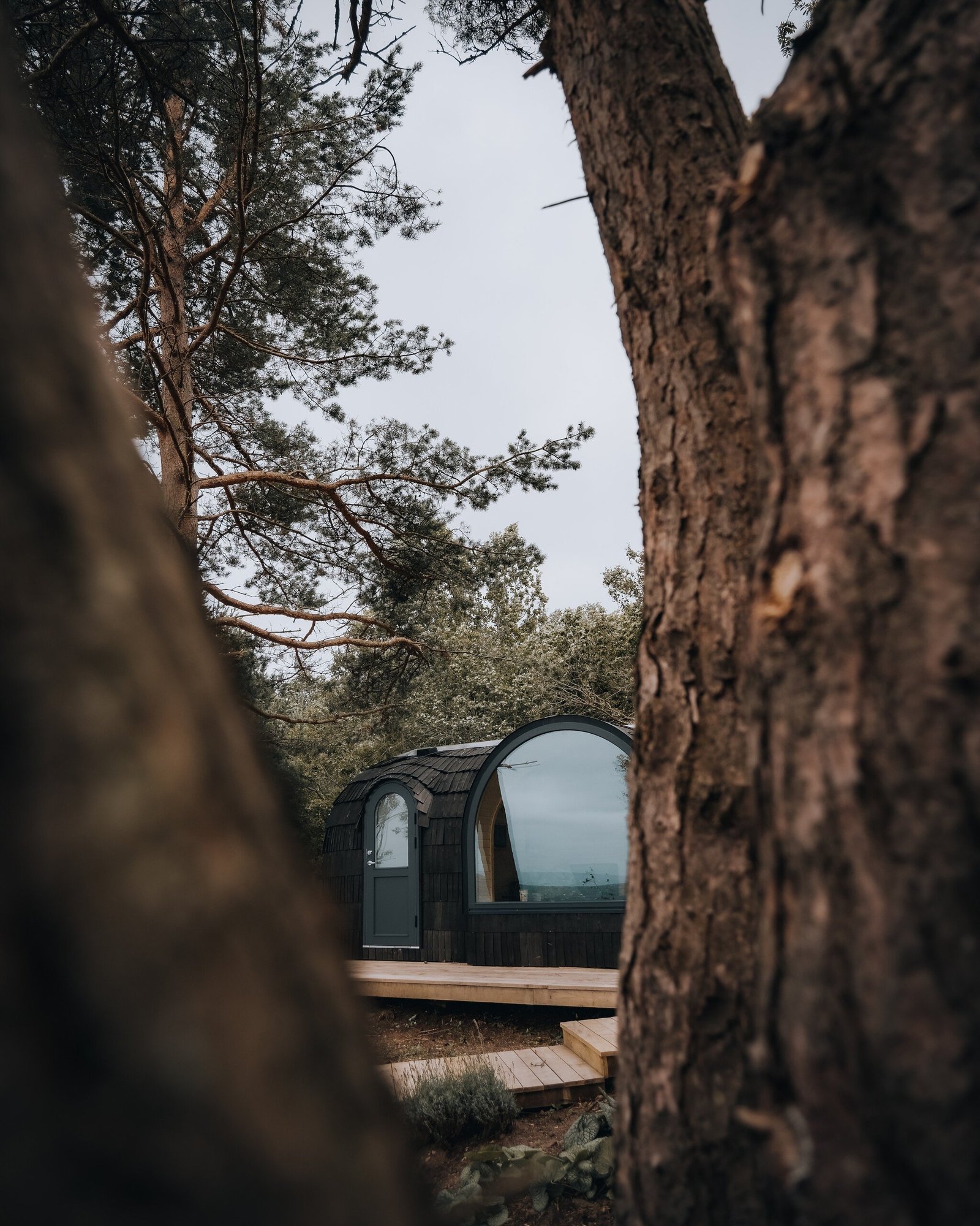 Look at a cabin through the woods